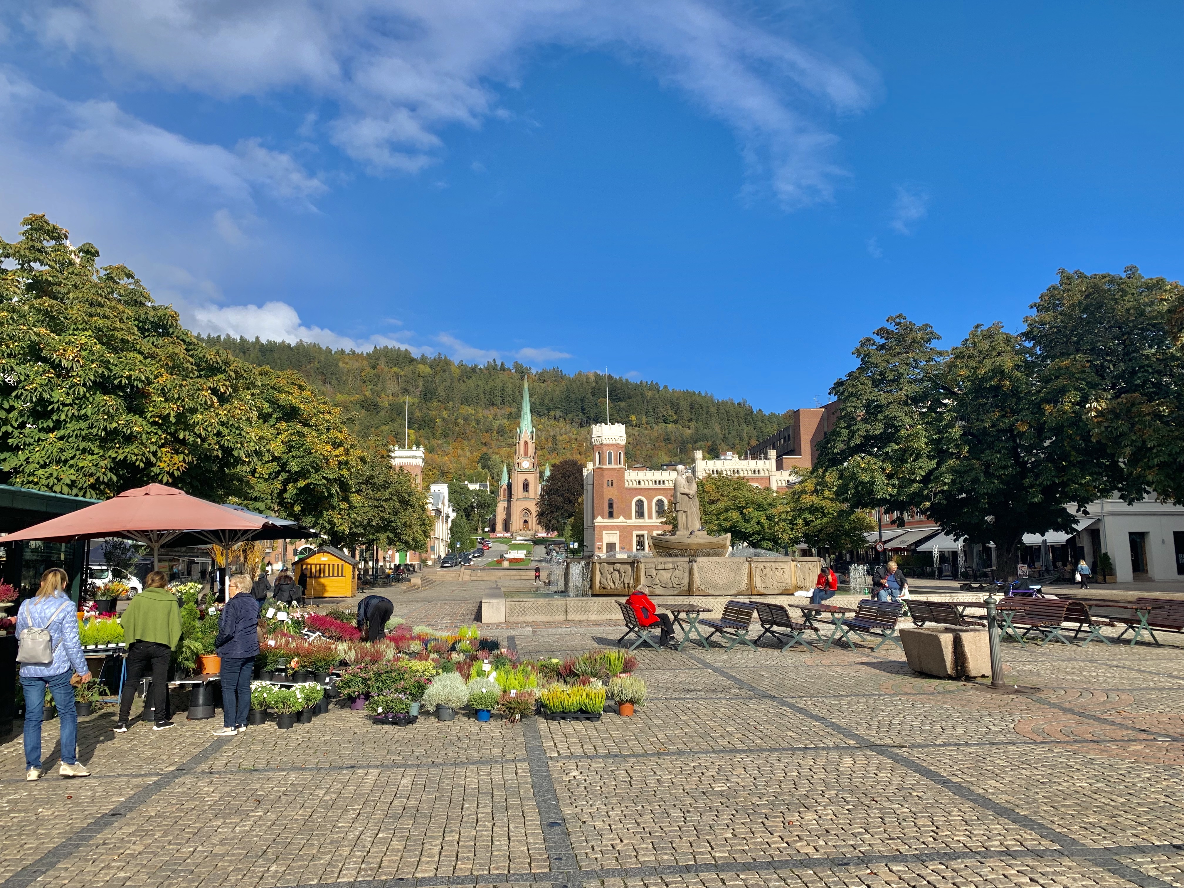 Reise til Drammen