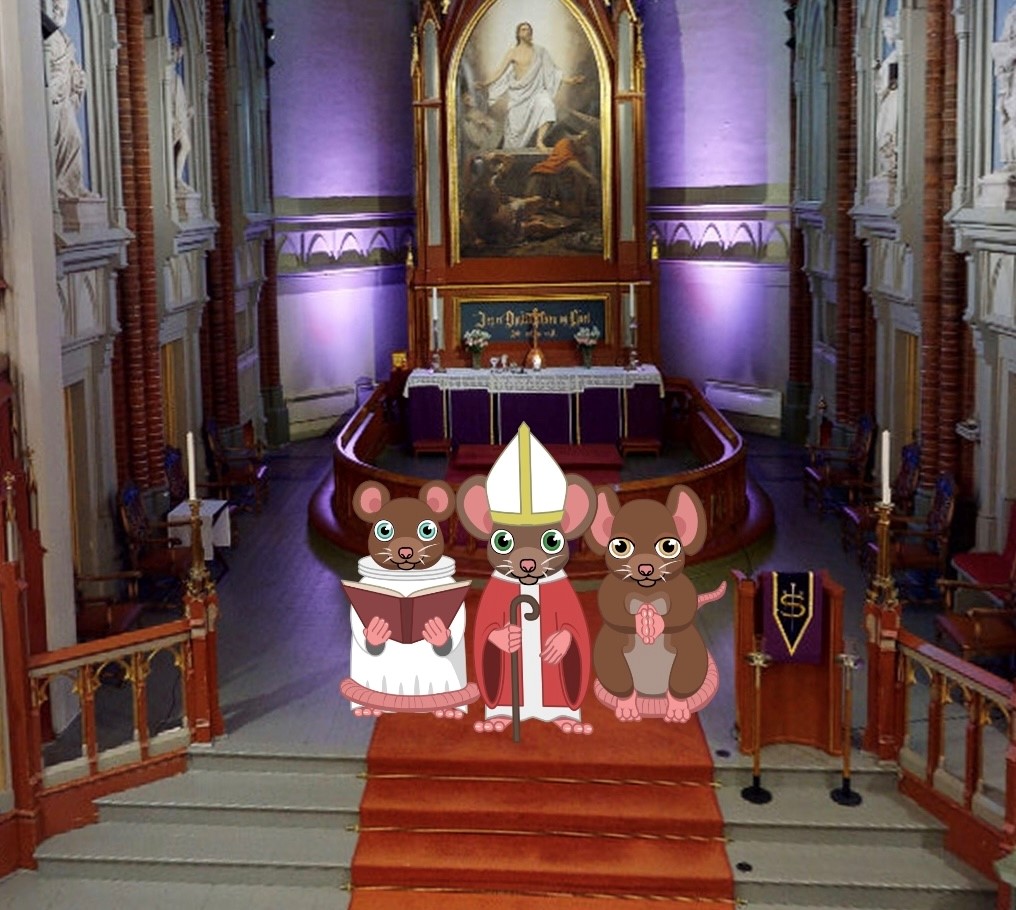 Bli med på vandring i Bragernes kirke