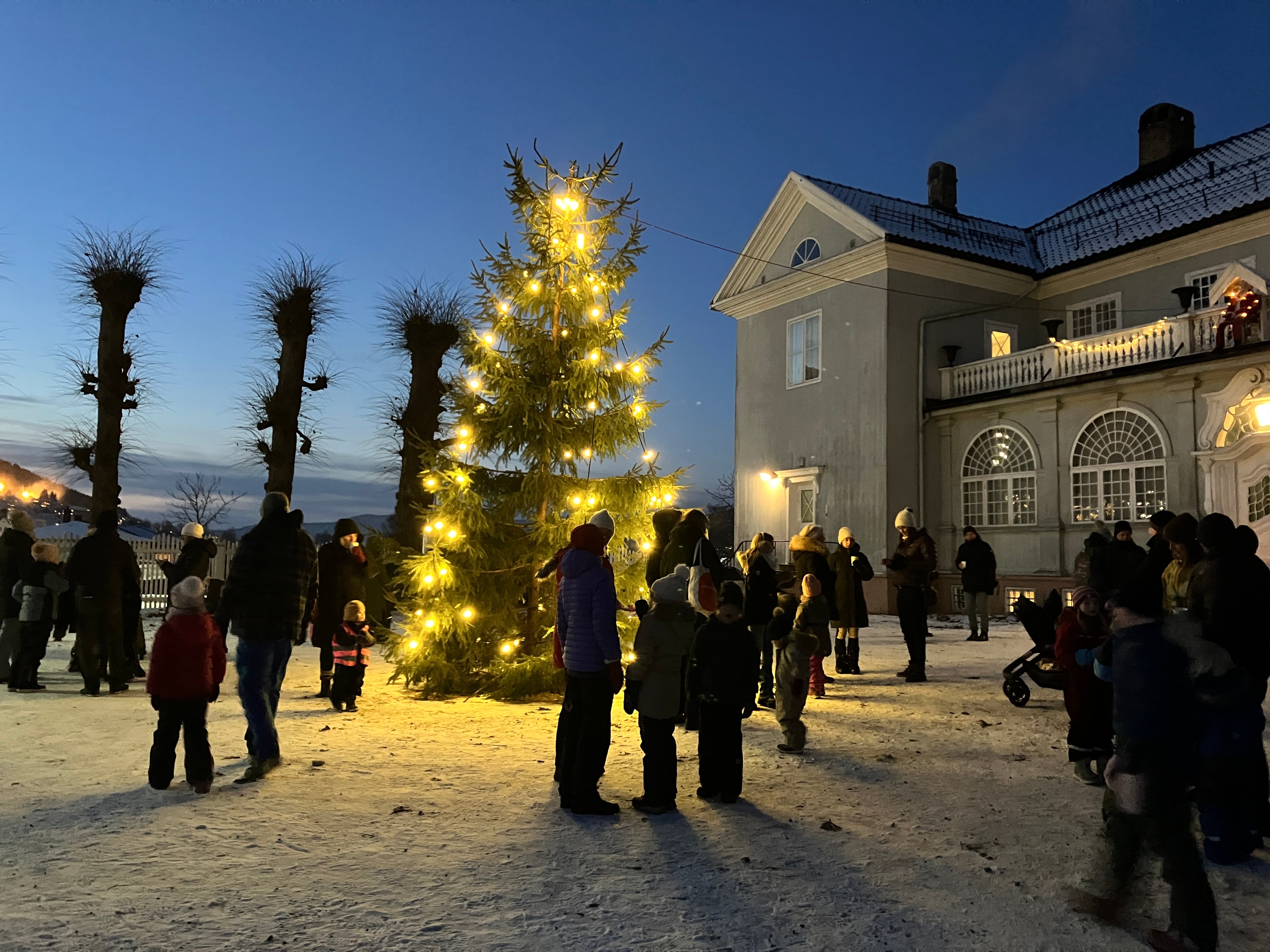 Julegrana tennes ved Austad gård