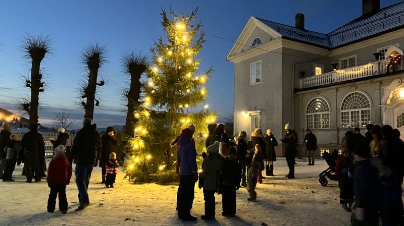 Julegrana tennes ved Austad gård