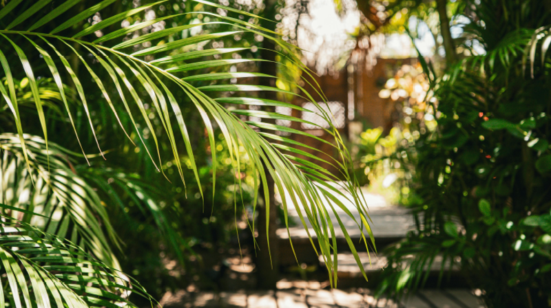 Åpen påskevandring