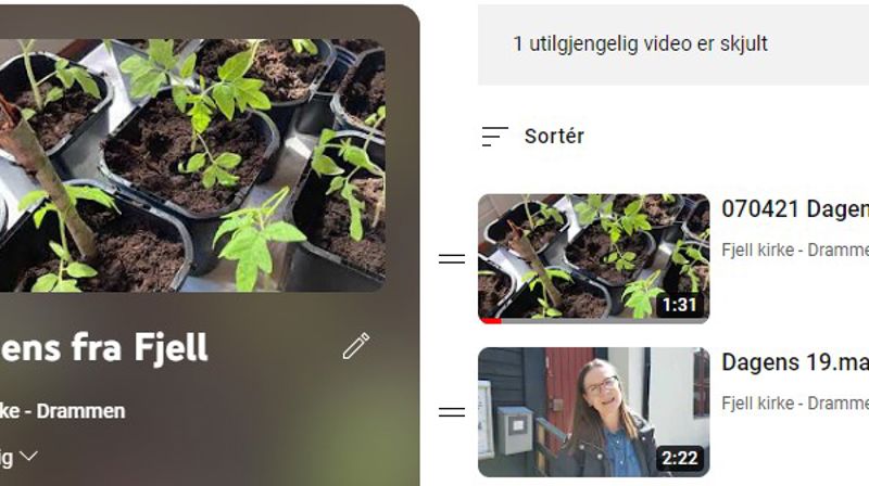 Dagens video