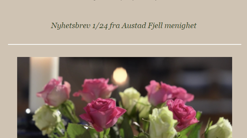 Nyhetsbrevet i februar