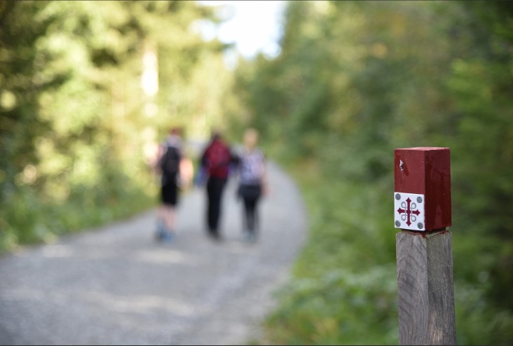 Interreligiøs pilgrimsvandring