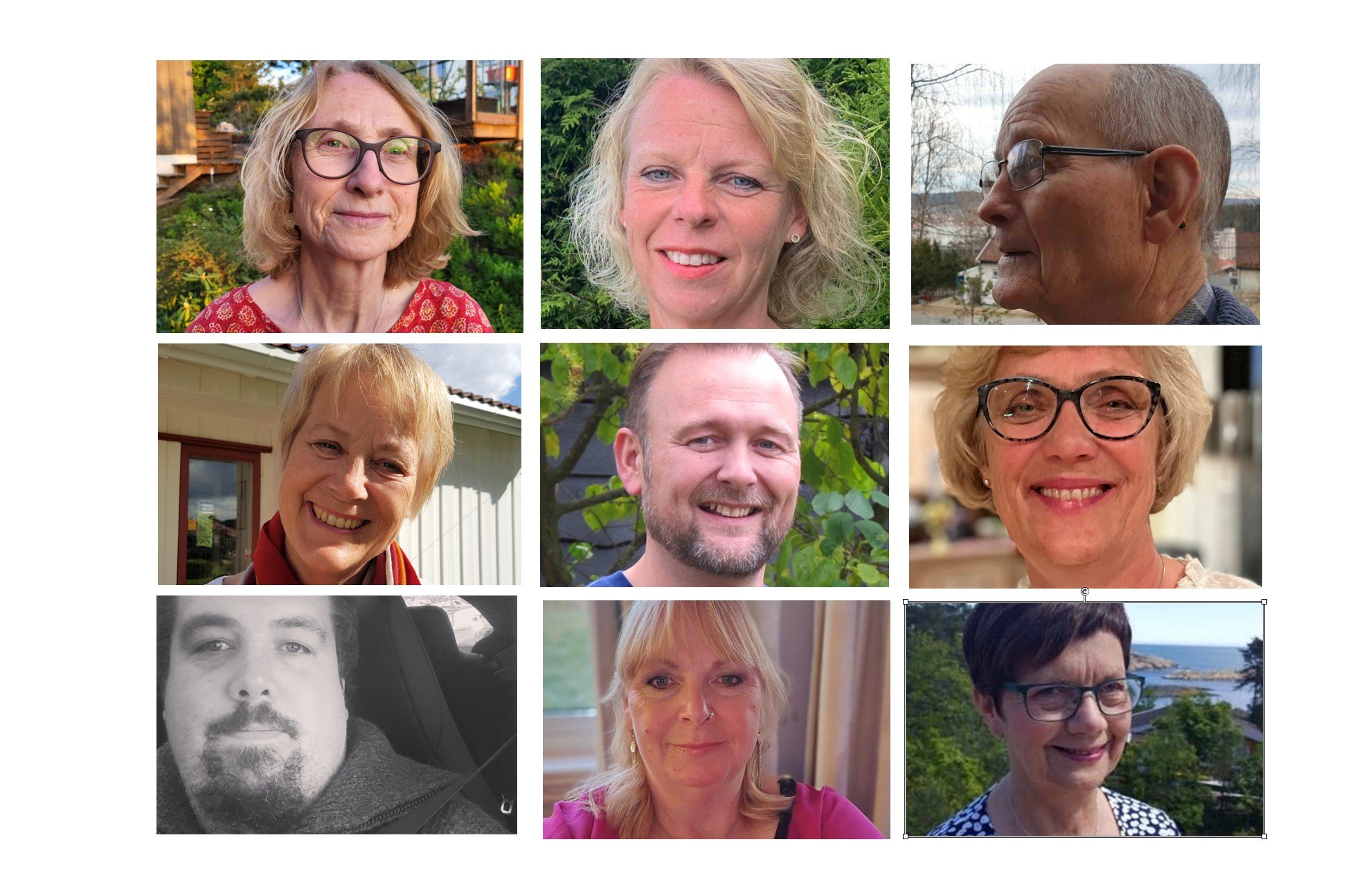 Det nye rådet sortert etter stemmer