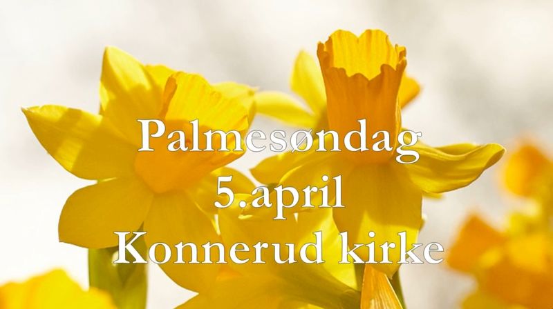 Palmesøndag