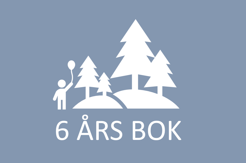 6 års bok