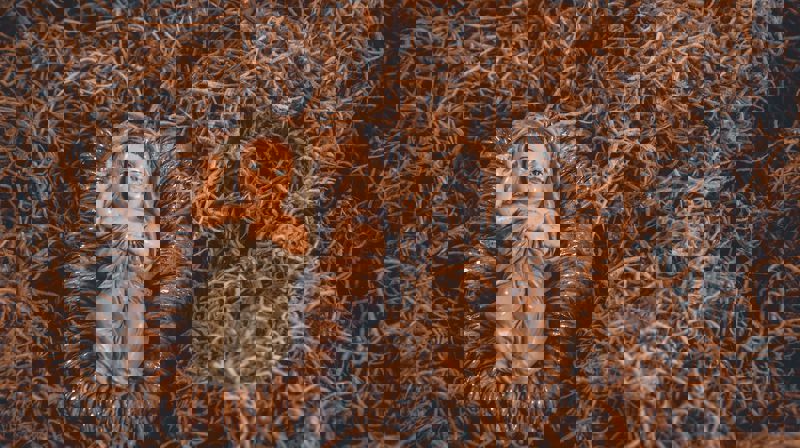 Bilde av Jeswin Thomas: www.pexels.com