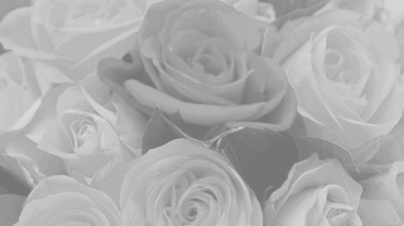 Seminar "Å forberede seg på at man skal dø