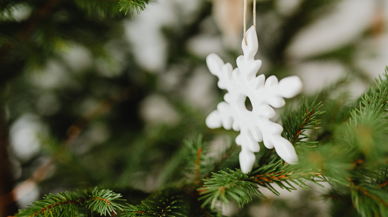 Hellige Tre Kongers Juletrefest