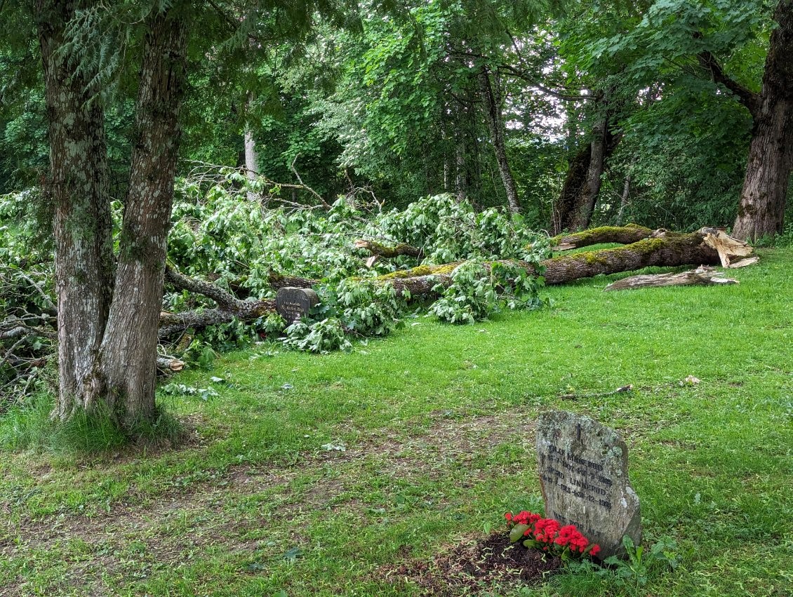 Skade etter gårsdagens storm