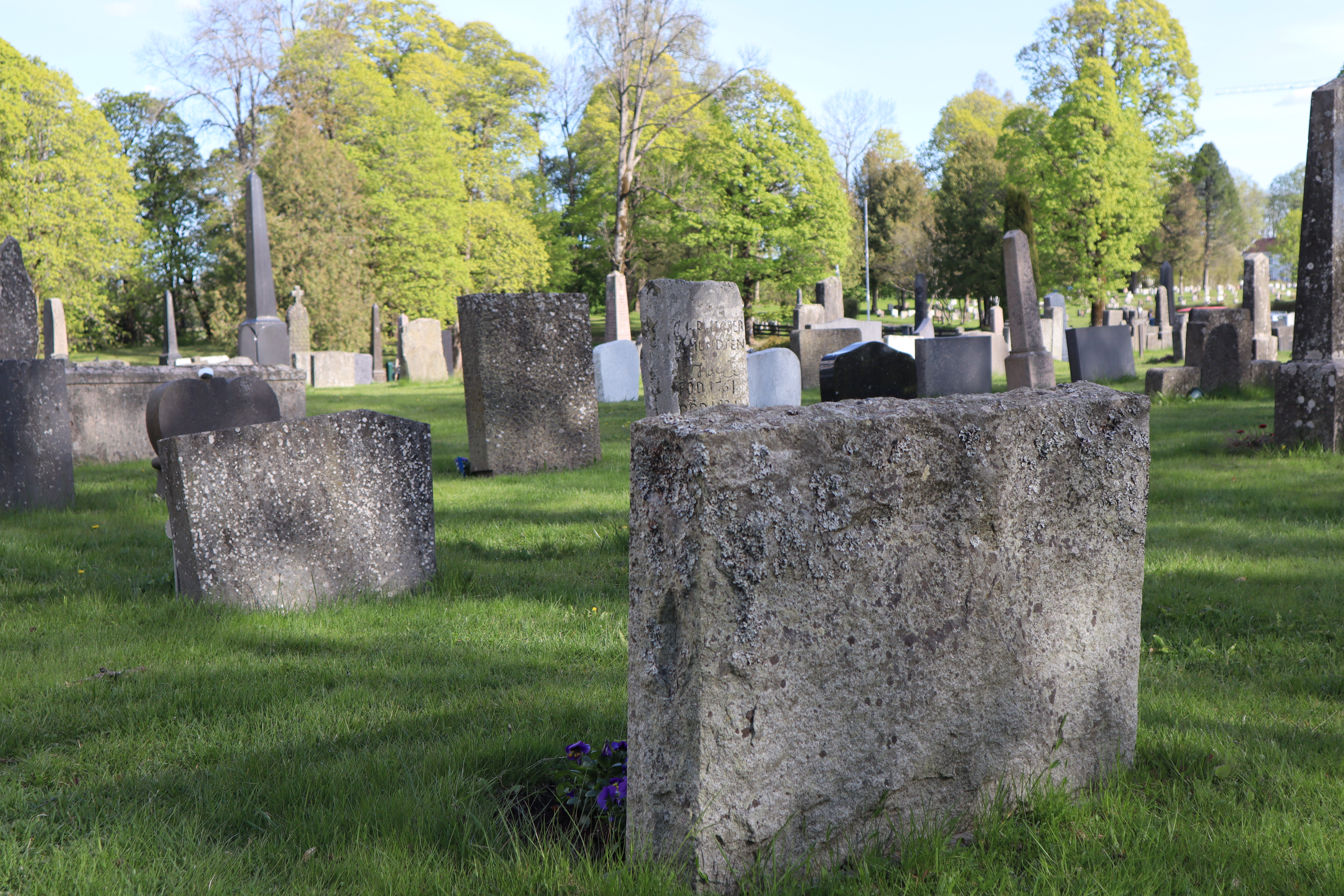 Hva er en festeavgift?