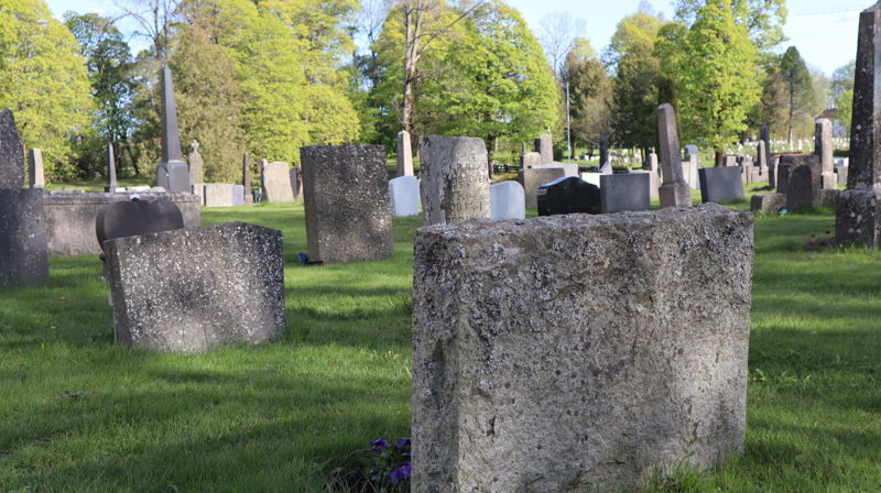 Hva er en festeavgift?