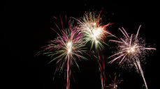 Foto: Therese Wium Jakobsen