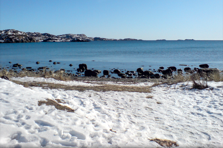 Foto: Stine Wium Jakobsen