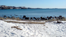 Foto: Stine Wium Jakobsen