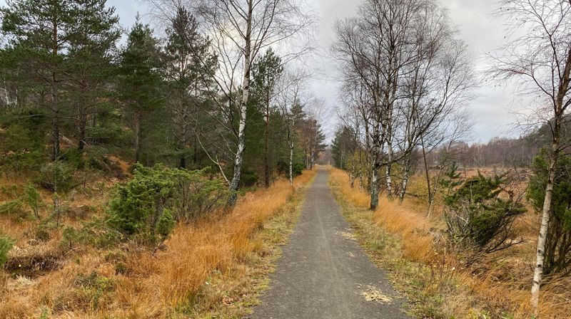 Foto: Bjørn Magne Jakobsen