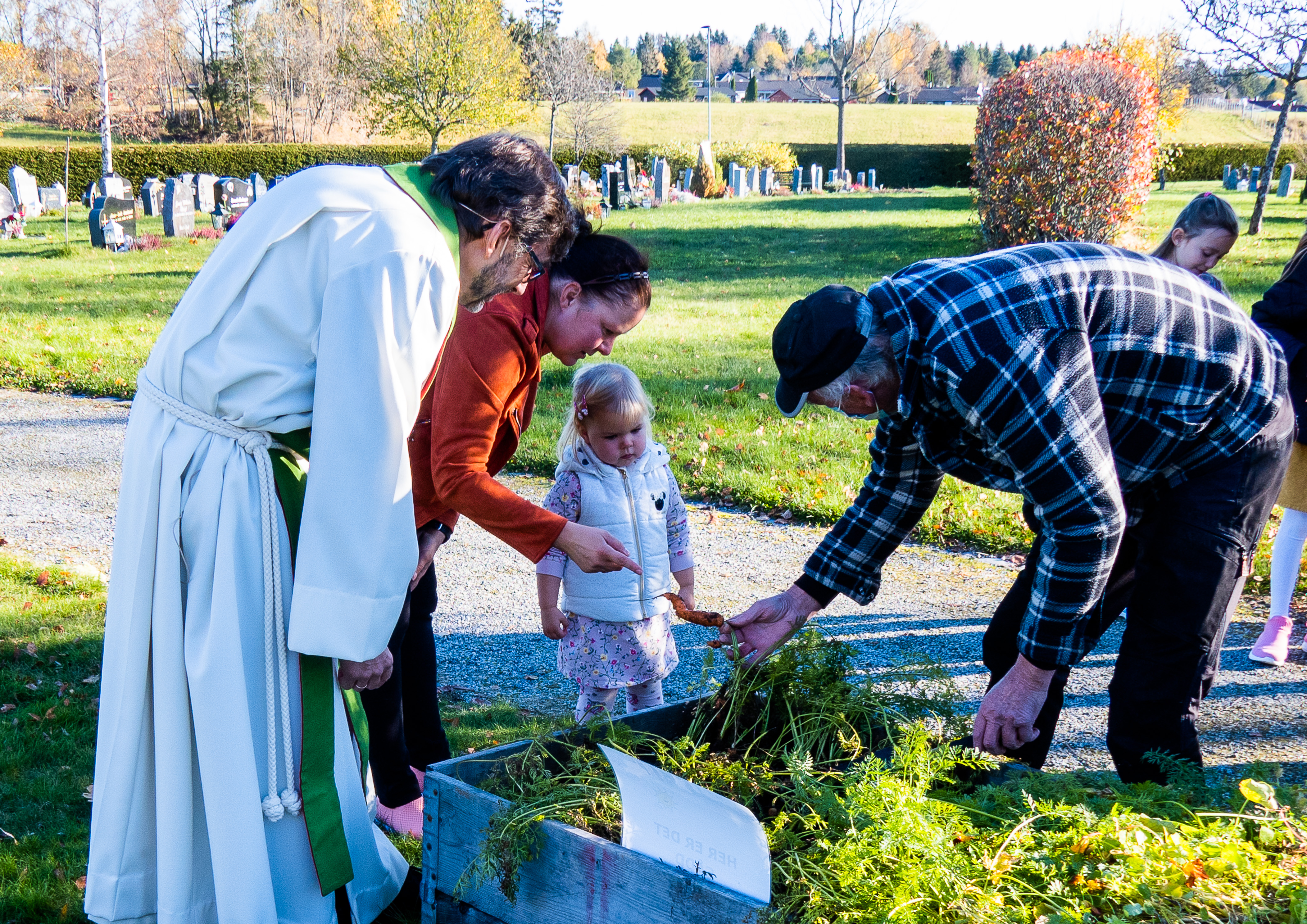 Ikke alle gulrøttene var rette