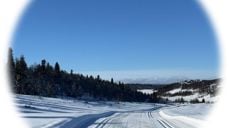 Lenningen