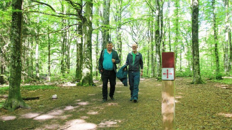 Hva med å gå pilegrim i sommer?