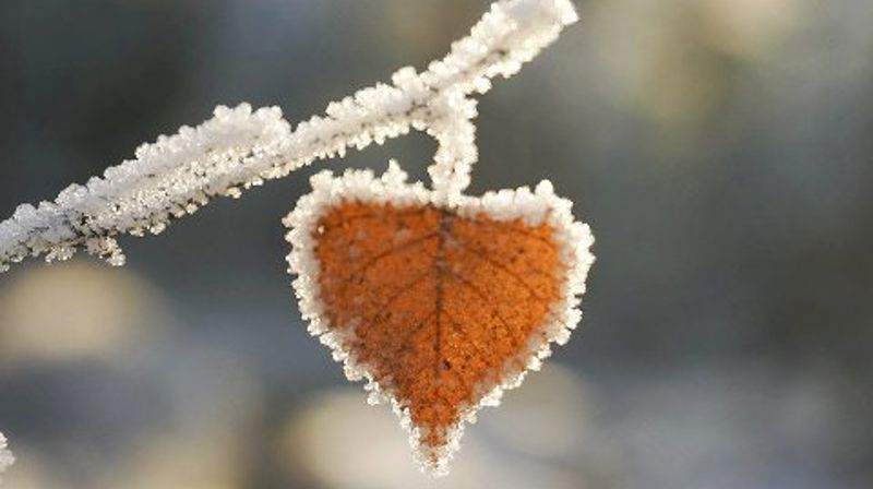 Gudsteneste 21. februar kl. 16.30 og 17.15