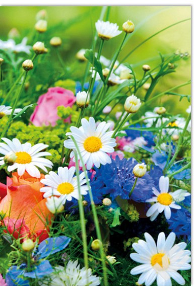 Gudsteneste 16. august