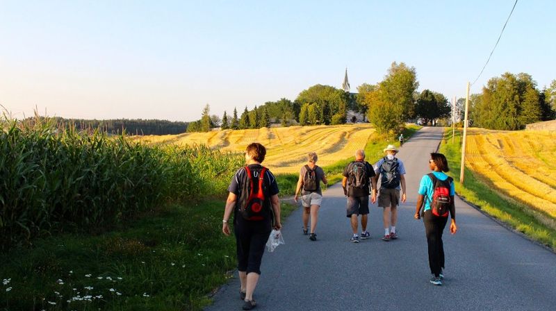 Utsikt mot Berg kirke. Foto: Jan Torstein Engen