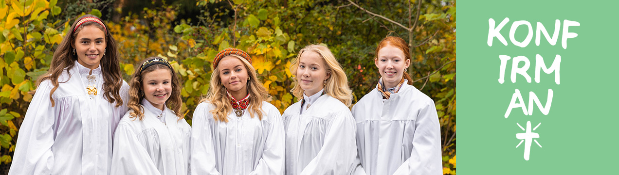 Toppbilde for Den norske kirke i Fredrikstad