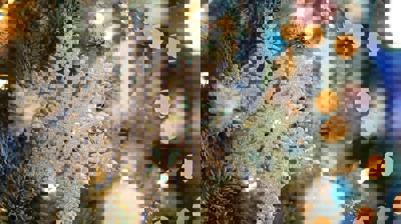 Illustrasjonsfoto: Pixabay