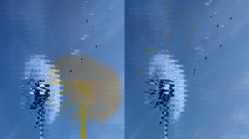 Illustrasjonsfoto: Pixabay