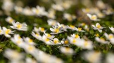 Illustrasjonsfoto: Pixabay