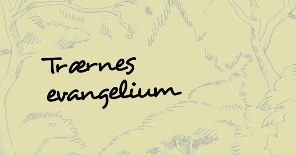 18.mars: Trærnes evangelium - temadag om Gud og naturen