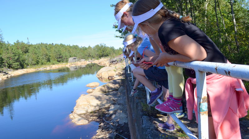 6-9 år