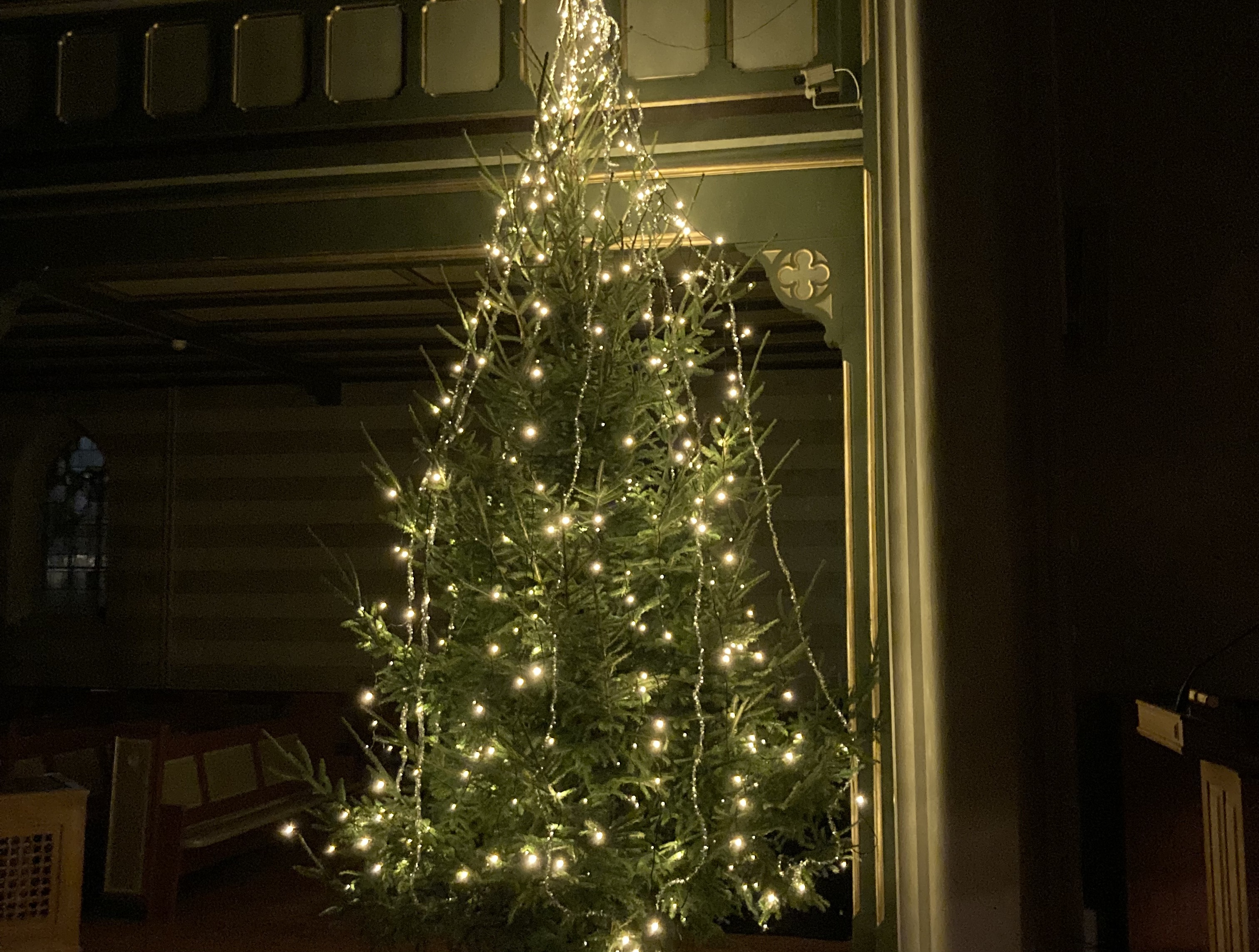 Sing Along Hallelujah