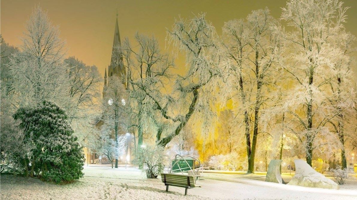 Domkirken i vinterskrud