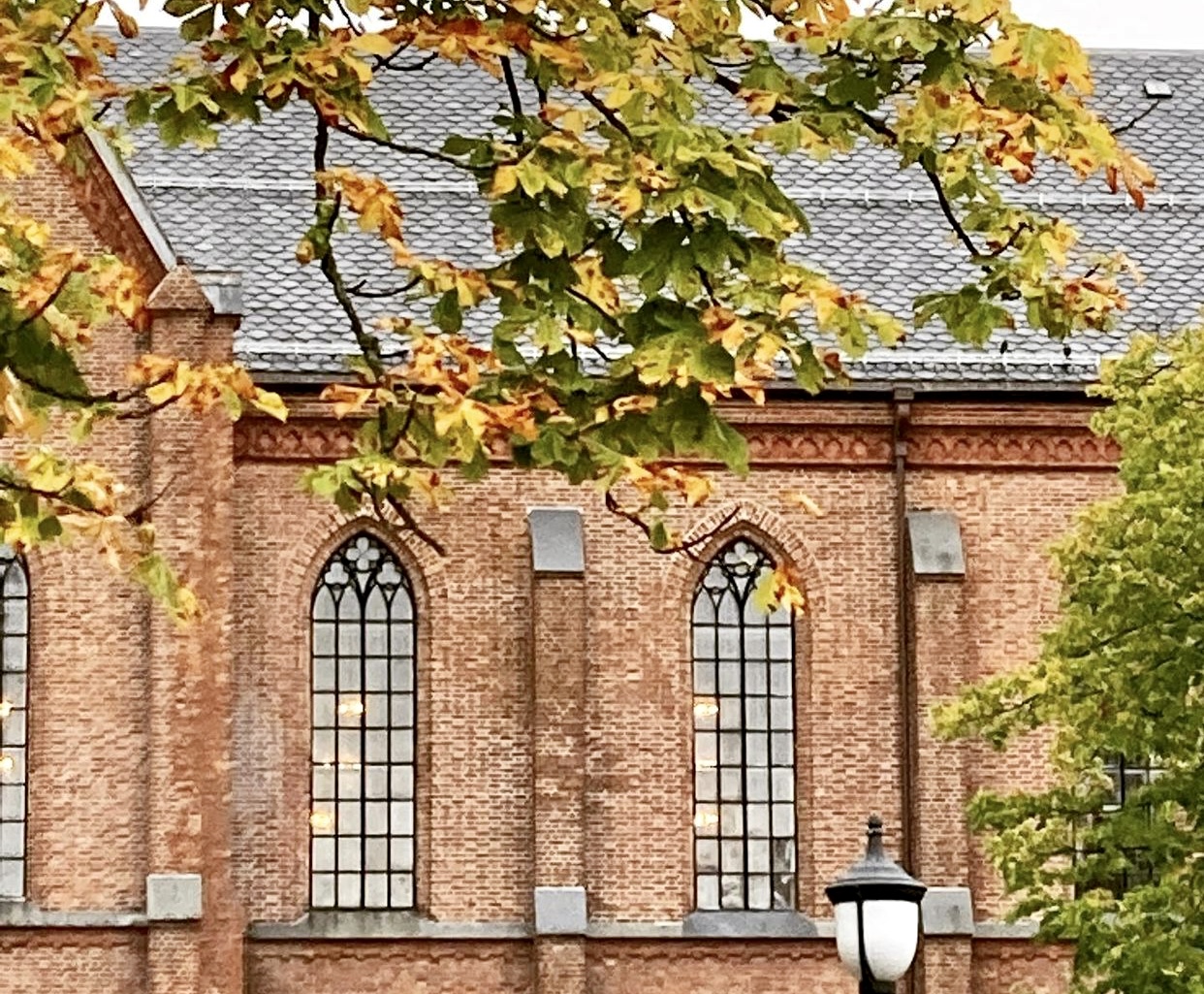 Uke 39 i Domkirken