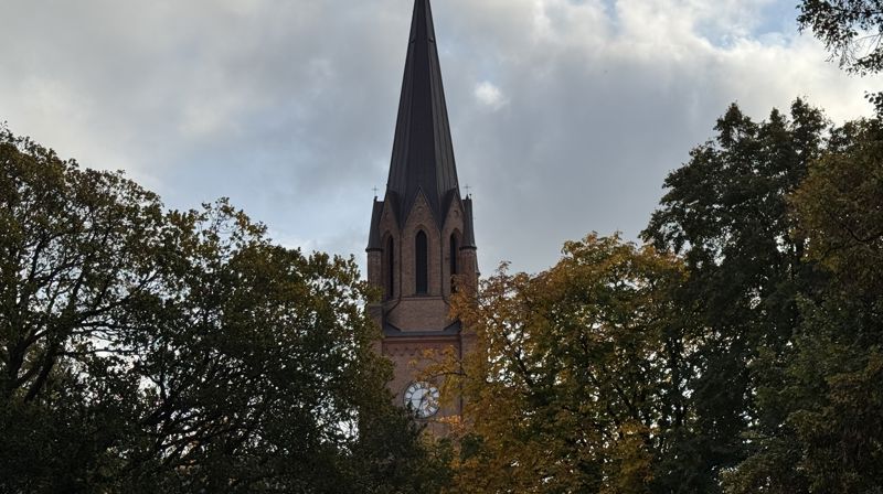 Uke 45 i domkirken
