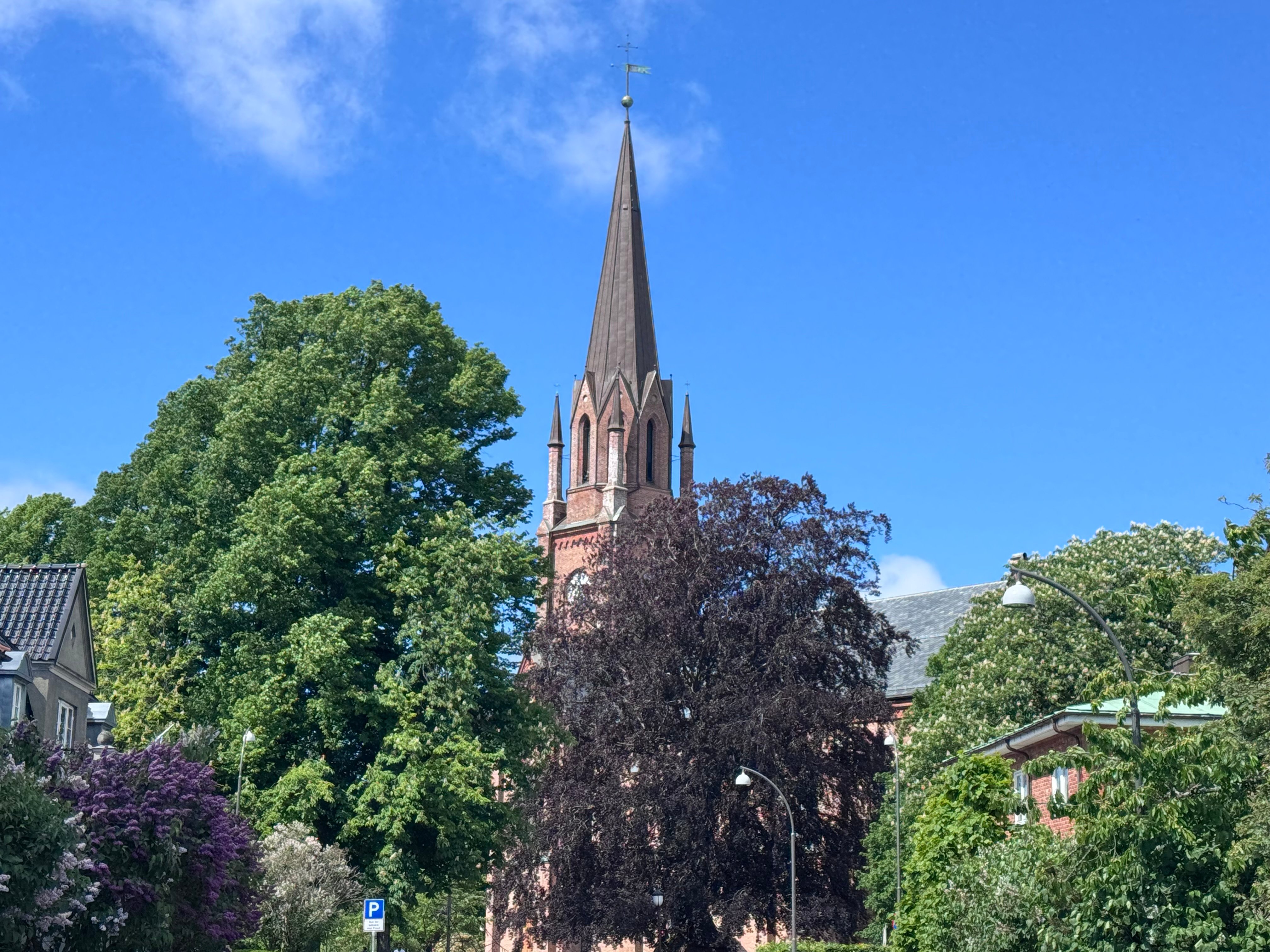 Domkirken i uke 24