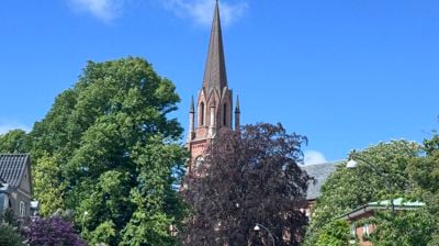 Domkirken i uke 24