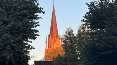 Domkirken i uke 42