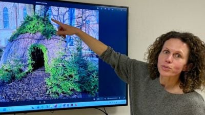 GJENBRUK: – Vi hentet fram jernskjellettet fra pilhytta i Bibliotekparken da vi i høst planla å bygge hytte rundt dette treet ved Domkirken, forklarer grøntforvalter Magdalena Chlosta. Foto: Erling Omvik