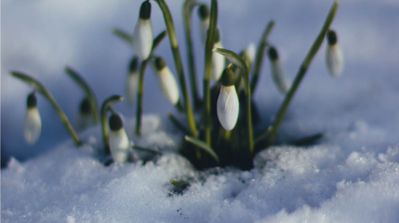Gamle Glemmen menighetsblad