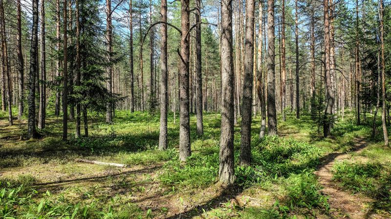 Konfirmant 2020 - info