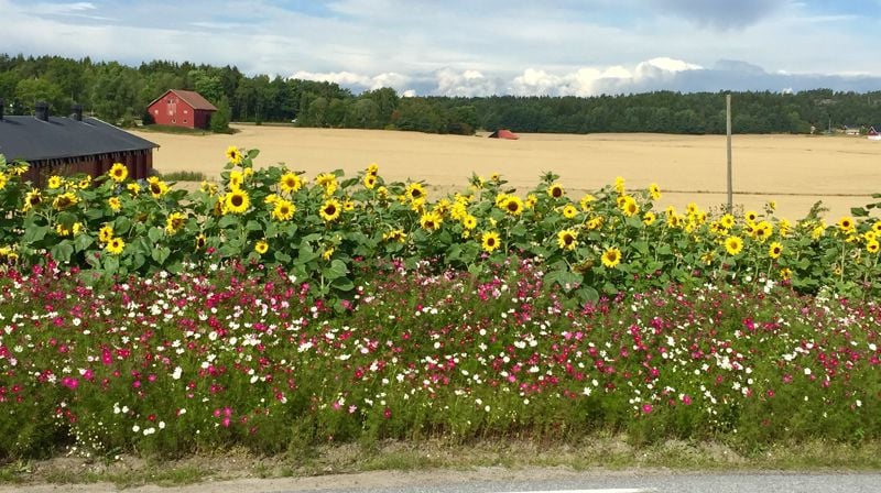 Invitasjon til årsmøte - Torsnes menighet