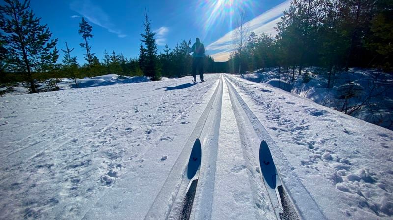 Vinterferien - uke 8