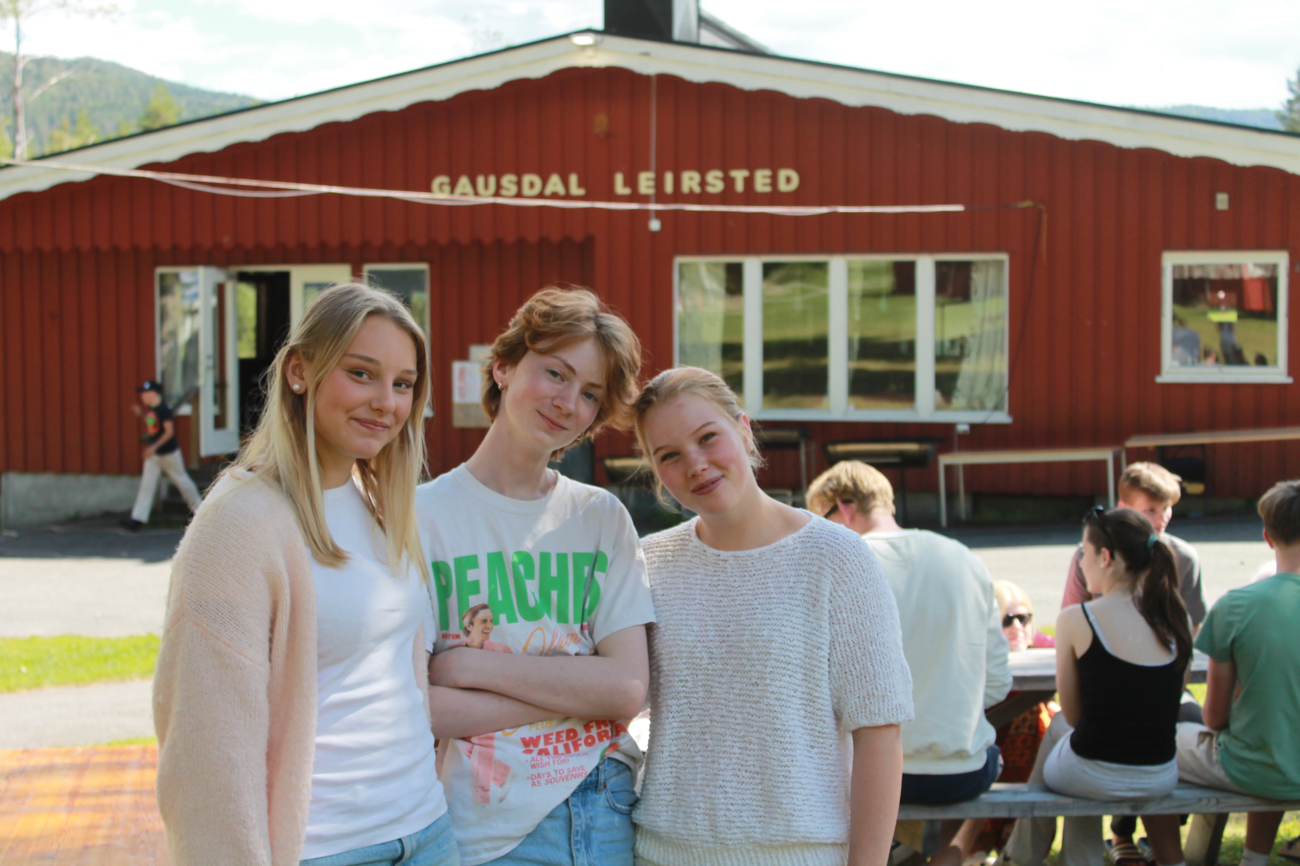 Hvilke alternativer kan jeg velge?