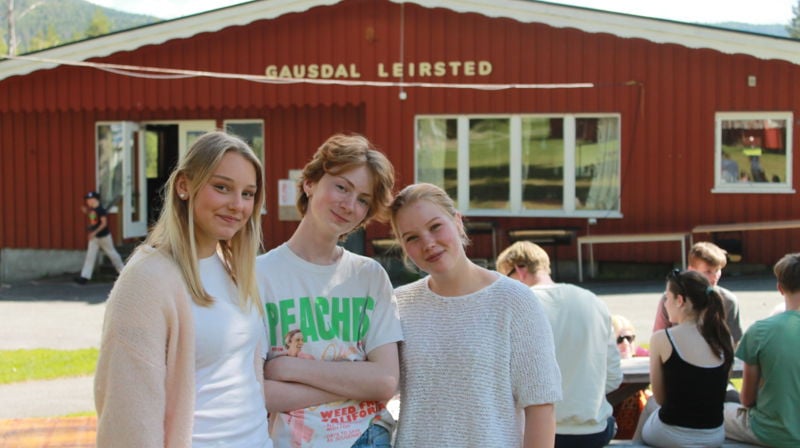 Hvilke alternativer kan jeg velge?