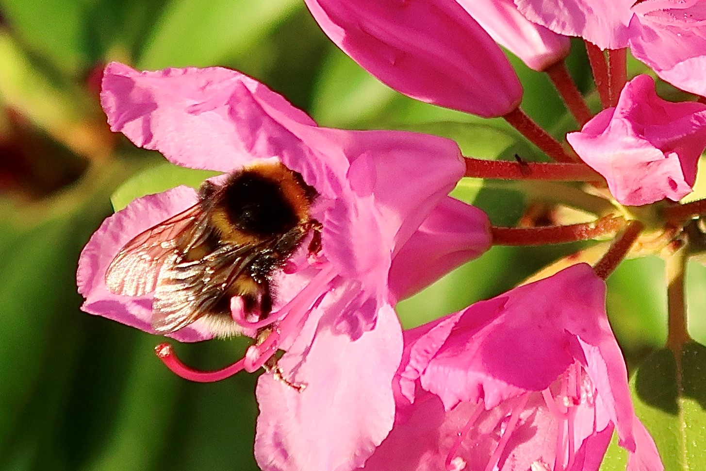 Kirkekontoret i juli