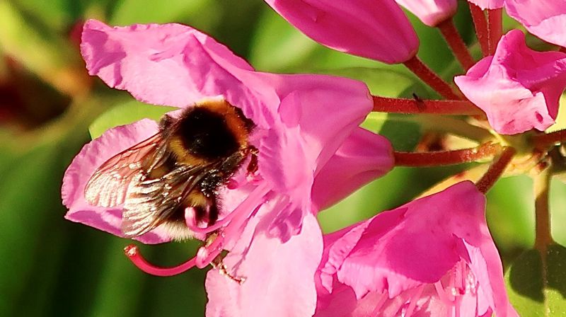 Kirkekontoret i juli