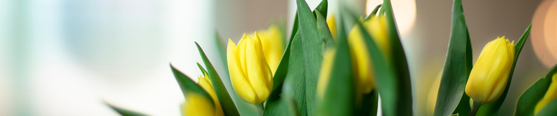 Toppbilde for Gjerdrum og Heni sokn